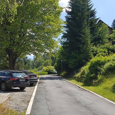Villa Goldbrunnen Ferienwohnung 3 Bad Elster Eksteriør bilde