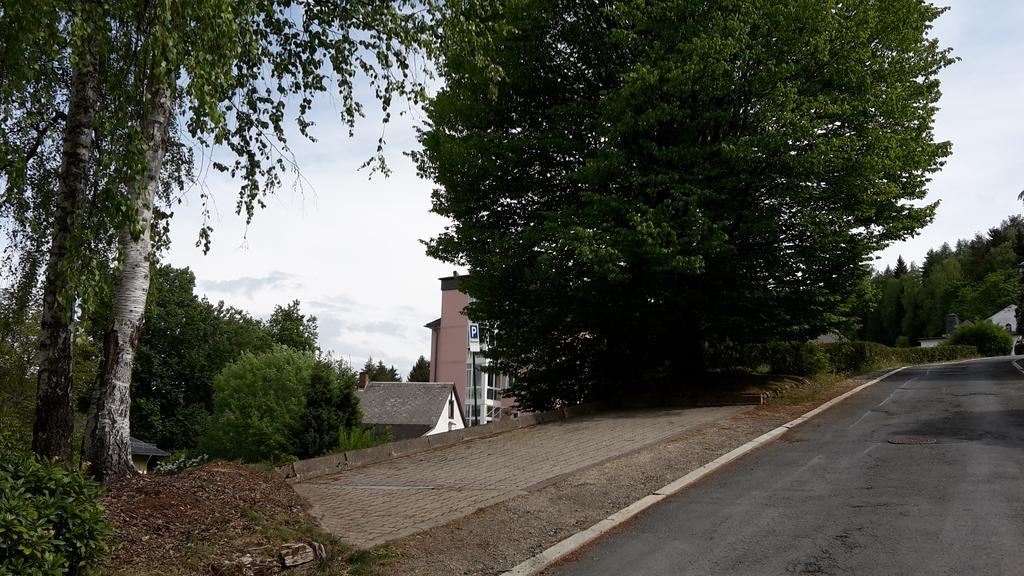 Villa Goldbrunnen Ferienwohnung 3 Bad Elster Eksteriør bilde